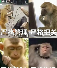 ������ȫ�������Ѻó����컨�壬�������죬����˭��