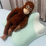 ���ſ�����ֻ�������