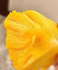 [�Ƽ�]���ݷ�������Ŀ�е��񣡷����Ψһ���������㱬��