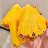 ���ݷ�������Ŀ�е���