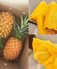 ���ݷ�������Ŀ�е��������㱬��