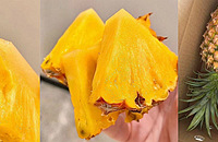 ���ݷ��������е��񣡳���N�Σ���������㱬��