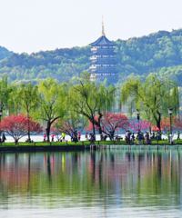 �������ʺ�ȥ�ĵط�