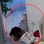 �����ε��ɷ������Թ�