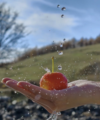 �����������������ѣ����꿴���������������ģ�