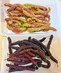 [����]�����´�½�����ɣ��̫�Ե��ˣ���ȱ���ζ���޵зḻ