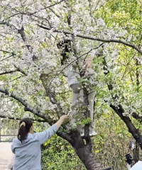 ��԰��Ů���������գ�ѹ��20��ӣ�������������ϴ�