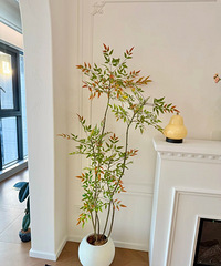 ��û�к���һ����ֲ��ɱ�ֵģ����Ƽ�������ֲ��