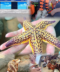 ��̨���������ƽ𺣰��ߣ�50KM����