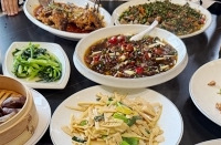 ��ɽƺ�����������鴫������������