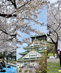 ȫ�����ӣ�����¶���������