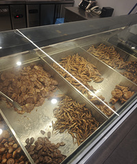 ΨҼ±ζ�ܵ����ƫ������Ʒ������ĺö�