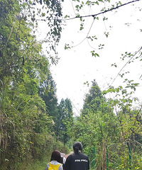 ����ʤ���ͽ�����з�·��