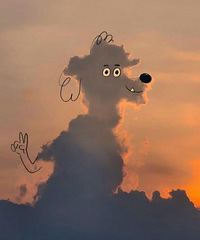 ��϶�����û��˼��