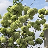 �Ҽ�ľ��������Ľ��