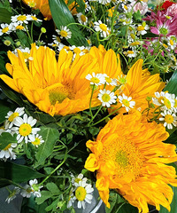 ˭֪��¹����Ȼ�����ʻ���������һ�β�֪�������