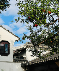 Ŀǰ��ϲ���ĳ��С�������