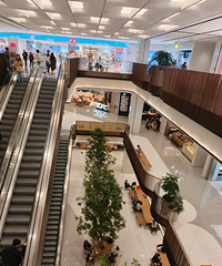 �ϰ�������ֿ�ҵ����󡭡�