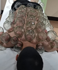 ��������������ʪ����