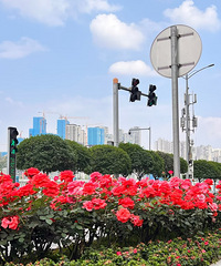 ���·�м�İ������¼����ˣ���˵����������˰��