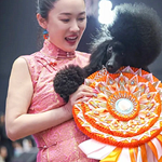 ��˼��ĺ����