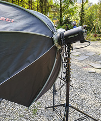 Сɭ�ֳ���Ұ��Ӫ��