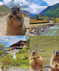 ��һ�Լݴ���Ī˹������ͽ�����Ⱥӣ��ڰ�������Ʒѩɽ����