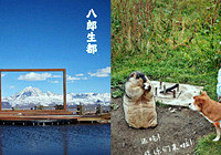 ��һ�Լݴ���Ī˹������������