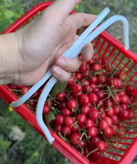 ľ�����ӣ������