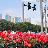 ���·�м�Ļ�����