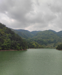 ʤ���ͽ���߷�·��