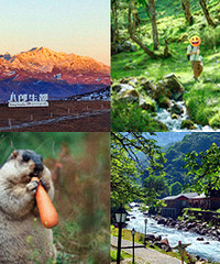 ��һ�Լ�Ī˹������������Ʒѩɽ����