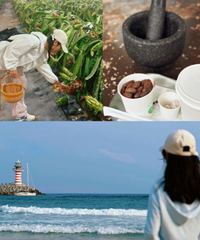 ���ϳ��˾����ķֽ��޵���ˣ�»���Ķ�