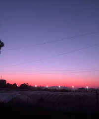 ���ٴ����ϡ��������ʮ�أ��ػر߾�С��