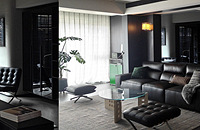 ��Ļᱻ�ڰ׻Ҽ�������һ���ӣ�������������װ��