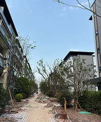 Խ�㽭ɽ��142ƽװ���ռǣ��ӷ����Ȳ�����װ��