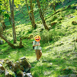 ��һ�Լݴ���Ī˹��