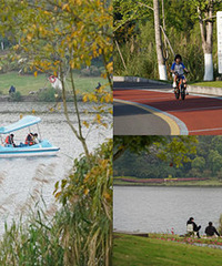 �������ĩ����������ѵ�