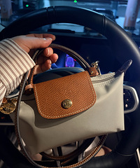 ����������mini