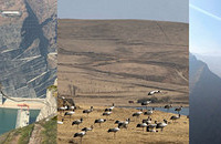 ����������ŵĽ��ǣ����پ���ֵ��ȥ