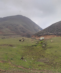 ���ɶ���ͽ����18km��ʱ9h