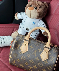 LV Speedy20��ֱ�������������