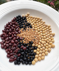 ���������׷��ӣ���ֺ���ʮ���꣬Ƥ��Խ��Խ��