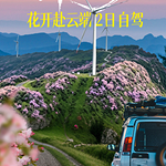 �Լ�����ɽ���ƶ˻���