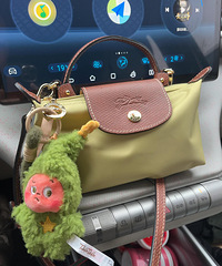 ����mini������ͦ��