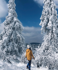 �������������޶�����