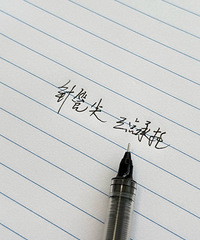 һ���һ֧�ĺñʣ���ѩ�������ֵ����