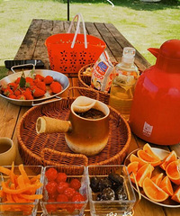 ��ĩ��ȥũ��������