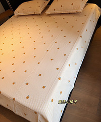 ���첻����ϯ�����ϴֲ���Ʒ��50��һ��͸������