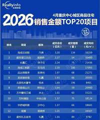 26��4�����۽��TOP20��Ŀ